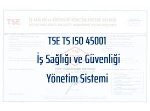 TSE TS ISO 45001