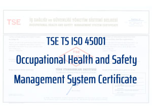 TSE TS ISO 45001